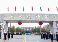 杭州技師學院2024年錄取分數線
